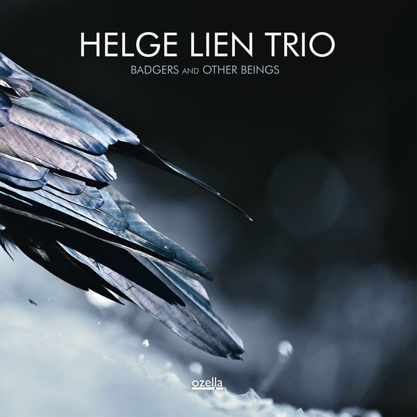 Helge Lien Trio Badgers And Other Beings Ozella Music 2014