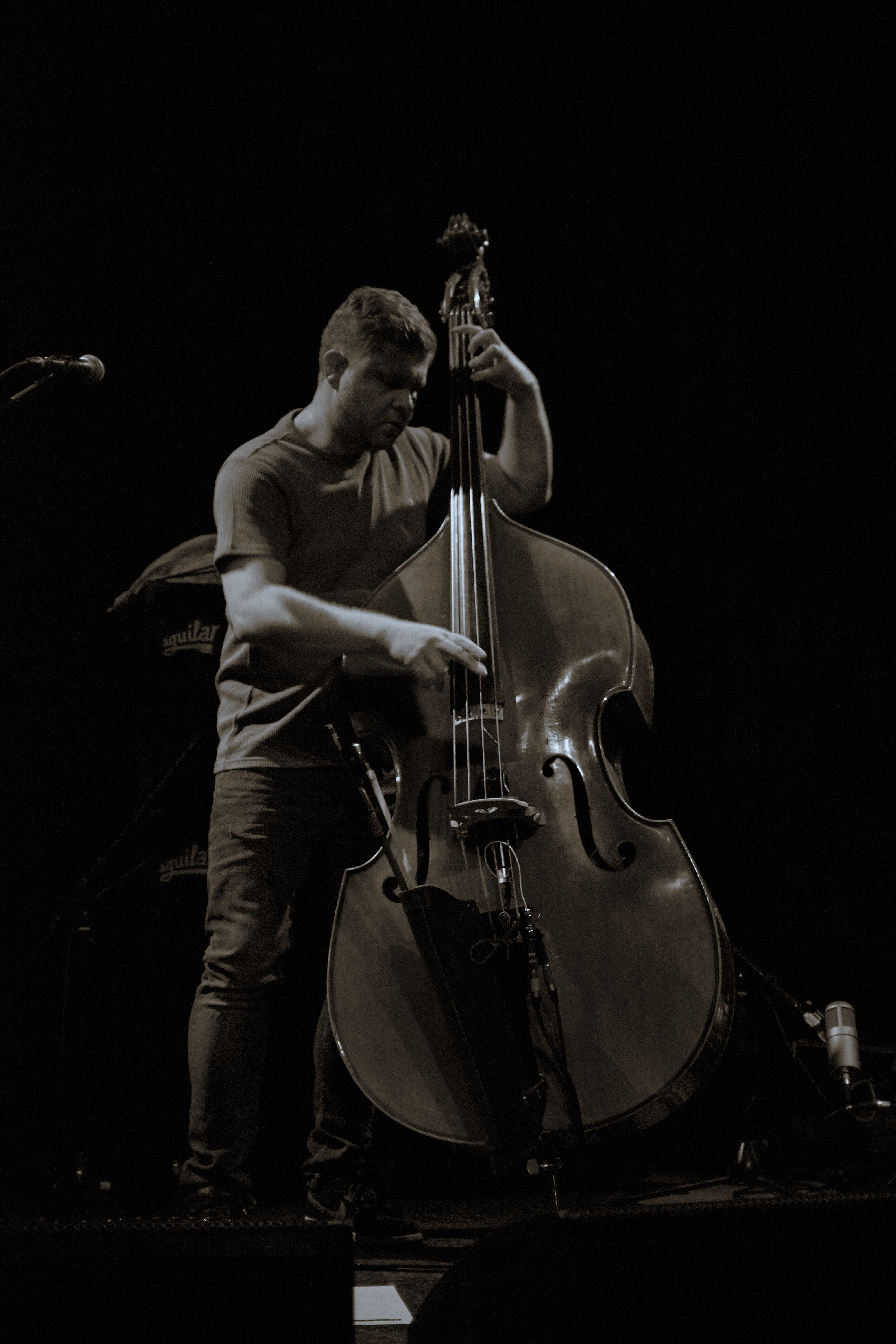 GoGo Pengui Live At Moods May 8 2016 1